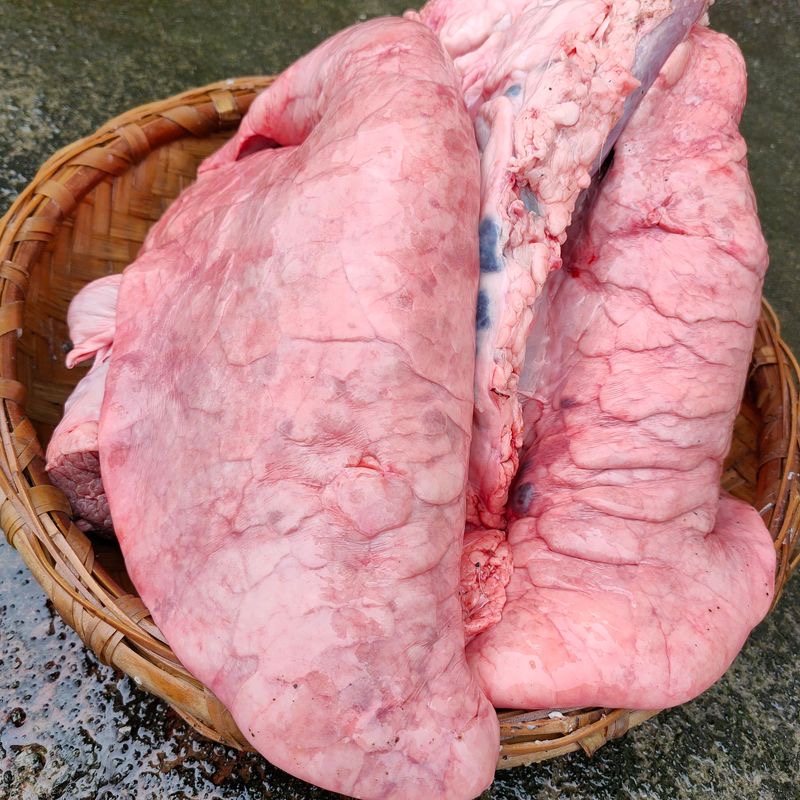 Fresh pig lungs, farm-raised pig lungs, pig offal, commercial wholesale, frozen, free shipping