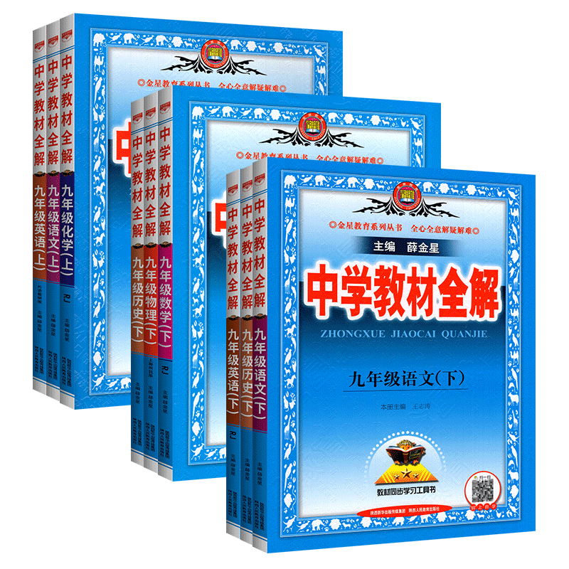 2024薛金星中学教材全解九年级下册语文数学英语物理化学政治道德与法治历史中考教材全解上册人教版外研北师初中初三下完全解读-图3
