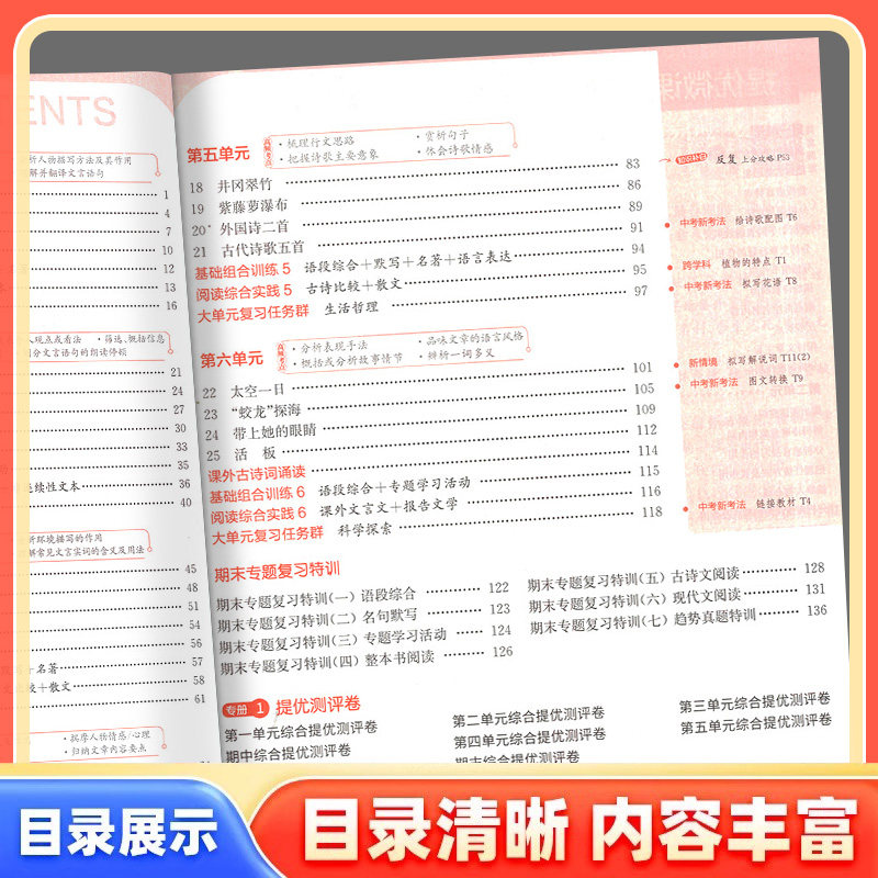 2025秋实验班提优训练七上八九年级下册下语文数学英语物理化学生物科学新版教材练习册人教北师大浙教华师版初中初一三二同步训练