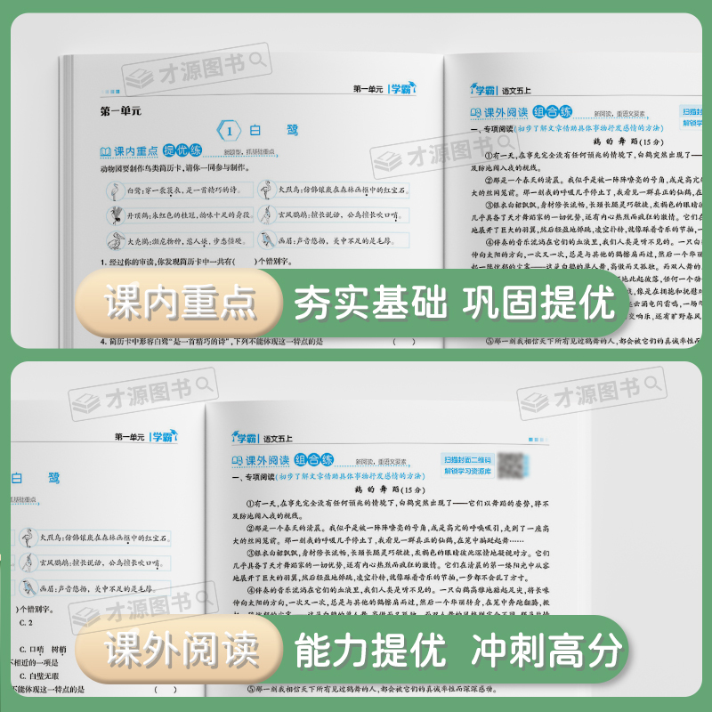 2024秋现货 经纶学典小学五星学霸123456上下册语文数学英语人教版北师江苏教版练习册教材提优大试卷课时作业本同步训练