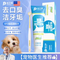 Pet Kitty pooch toothpaste suit edible except stomp toothbrushing Toothbrushing God Cat Clean Teeth Teddy Golden Hair