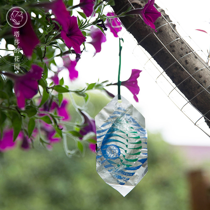 花庭园艺推荐品牌 新人首单立减十元 21年6月 淘宝海外