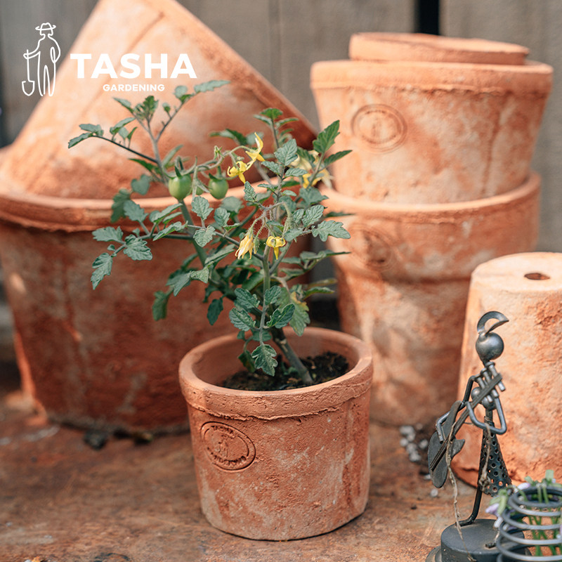 塔莎的花园粗陶盆复古怀旧花盆花园阳台多肉瓦盆花架花卉种植盆,淘宝优惠券,粉丝福利购,淘宝优惠卷