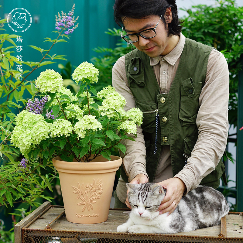 塔莎的花园浮雕陶盆欧式家庭花园装饰ins风花盆透气盆简约红陶 塔莎的花园 淘优券
