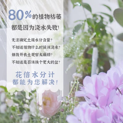 塔莎的花园 SUSTEE土壤水分计新手种花伴侣神器 - 图3