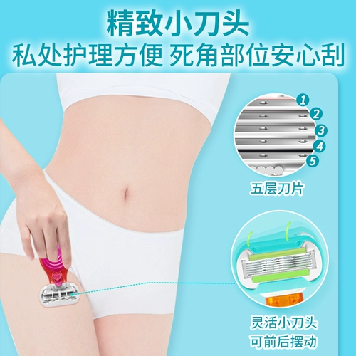 Гиллар Венера Венера Цзяо Dot Little Shell Scrape Ms.