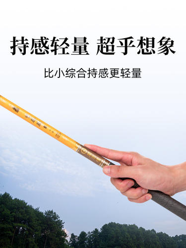 名伦金麒麟鱼竿超轻旗舰正品碳素28调1H台钓竿手竿轻硬野钓钓鱼竿 - 图0