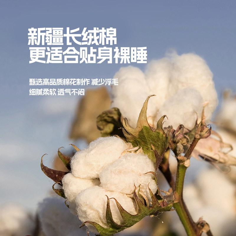 夏季床单单件纯棉100全棉纯色单子学生宿舍单人1.8被单枕套三件套