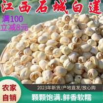 2023 New goods Finely Picked Grade Stone City White Lotus Dry Goods 500g No sulphur to core lotus seed Non Guangchang Jianning