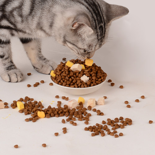 猫主粮澳美滋成猫英短蓝猫猫咪用品鸡肉冻干全价猫粮幼猫 - 图2