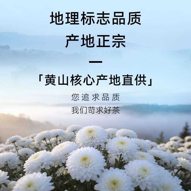 菊花茶贡菊黄山贡菊花茶无硫贡菊花安徽白菊特级正品官方旗舰店