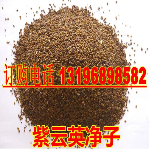 紫云英种子红花草食用野菜果园养蜂蜜源绿肥植物紫花苜蓿牧草种籽 - 图2