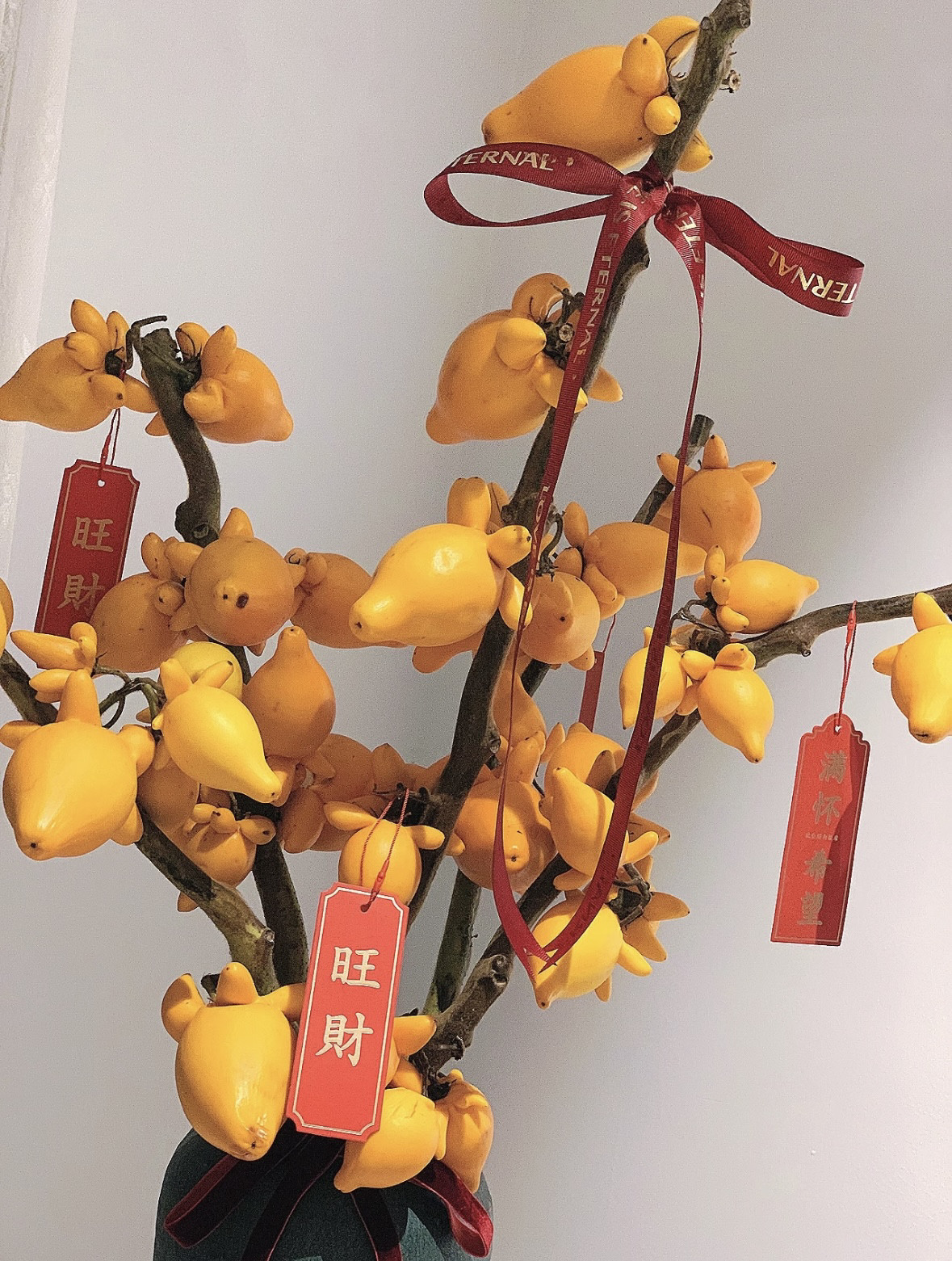 五代同堂黄金果鲜花云南直发五袋果 福禄果鲜切花五指茄插花乳茄,淘宝优惠券,粉丝福利购,淘宝优惠卷