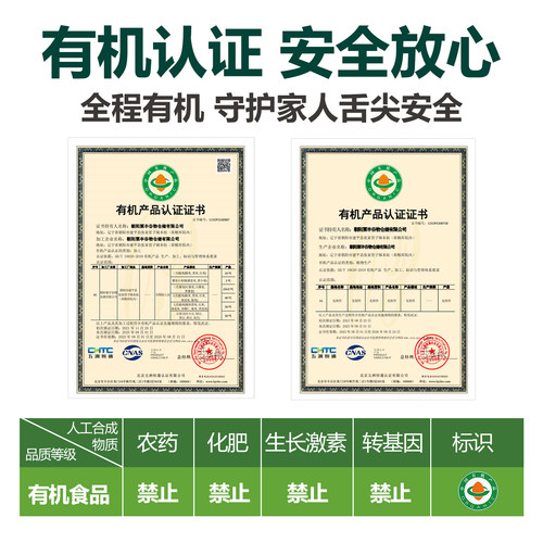北纯有机小米粉3斤 东北农家五谷杂粮粉粗粮发糕煎饼小米面粉早餐 - 图1