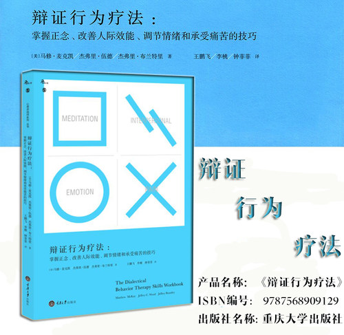 辩证行为疗法掌握正念改善人际效能调节情绪和承受痛苦的技巧马修麦克凯心理自助人际沟通情绪治疗技巧入门心理治愈-图0