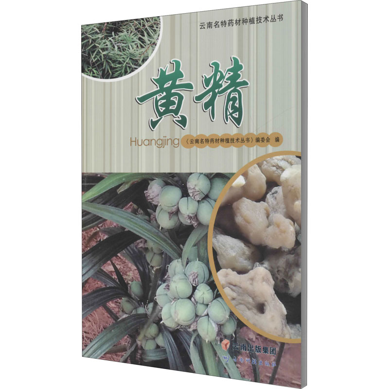 黄精 《云南名特药材种植技术丛书》编委会 编 农业基础科学专业科技 新华书店正版图书籍 云南科技出版社 - 图3