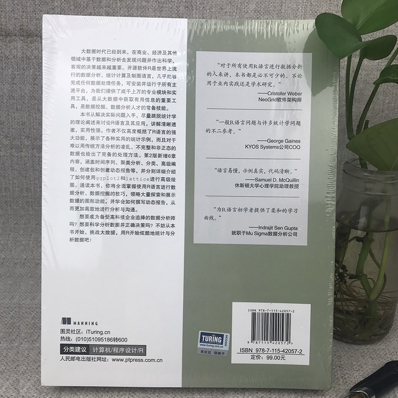 R语言实战第二2版 r语言编程入门教程书籍数据分析统计数据结构图形数据挖掘大数据处理与分析技术 R用户学习参考书籍-图0