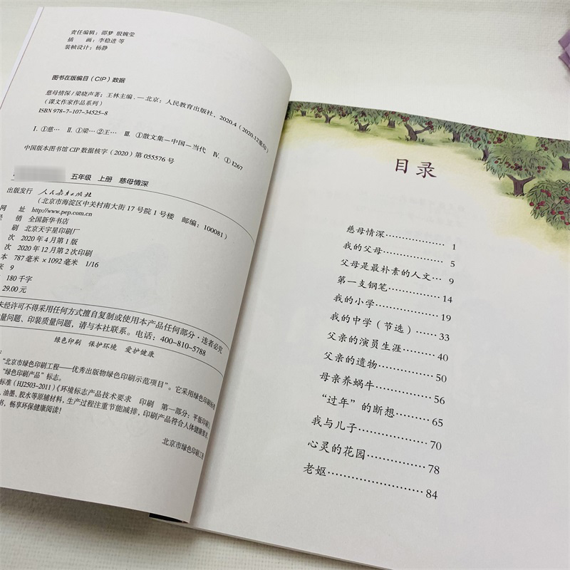 慈母情深 梁晓声著小岛搭石遨游汉字王国5年级上册课文作家作品系列语文教材书籍 人民教育出版社小学生课外同步阅读经典儿童文学 - 图2