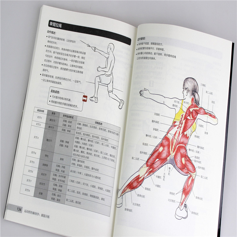 运动损伤解剖学康复训练解剖学手法治疗康复训练治疗运动系统损伤修复预防治疗康复精准拉伸健身书-图3