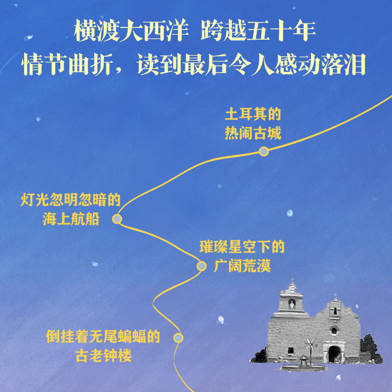 仰望星空的骆驼 (美)凯西·阿贝特 著 胡韵娇 译 (美)埃里克·罗曼 绘 儿童文学少儿 新华书店正版图书籍 中信出版社 - 图2