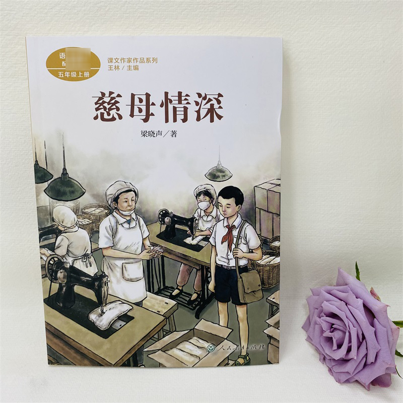 慈母情深 梁晓声著小岛搭石遨游汉字王国5年级上册课文作家作品系列语文教材书籍 人民教育出版社小学生课外同步阅读经典儿童文学 - 图0