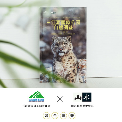 “天际线”丛书：三江源国家公园自然图鉴 王湘国,吕植;三江源国家公园管理局,山水自然保护中心 编 环境保护/治理专业科技 - 图2