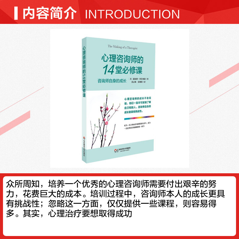 心理咨询师的14堂必修课(咨询师自身的成长) 路易斯科佐林诺 健康医学 心理学 心理咨询与治疗 心理咨询技能教材心理畅销书籍 - 图1