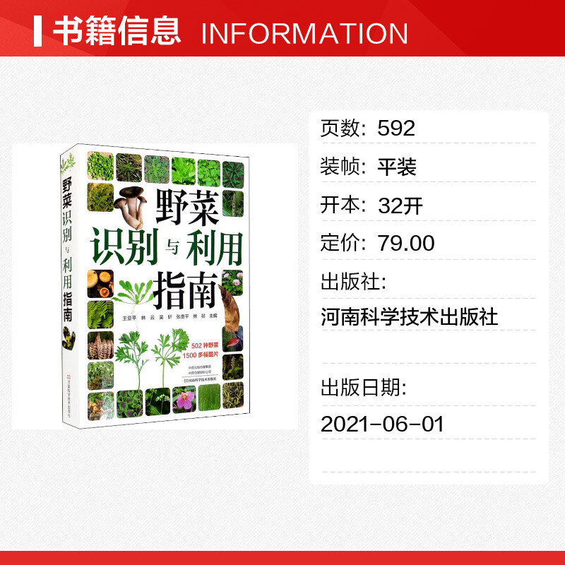 野菜识别与利用指南王亚平野菜国图鉴常见野果名称品种要点生境食用部位方法食疗保健与药用功能注意事项鉴别正版书籍-图0