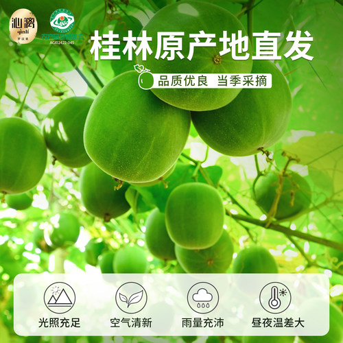 沁漓脱水黄金罗汉果干果正品旗舰店新鲜冻干广西桂林特产罗汉果茶 - 图2