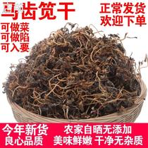 Horseteeth Purslane Vegetable Dried Horsetooth Dish Horse purpura Ants Vegetable long surecipant Grasshopper Horse Vegetable Dried Five Rows Of Grass Wild Vegetables Fresh