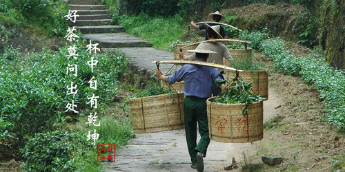 大红袍正岩乌龙茶坑涧老枞水仙花香浓香型茶叶250克礼盒散装 - 图3