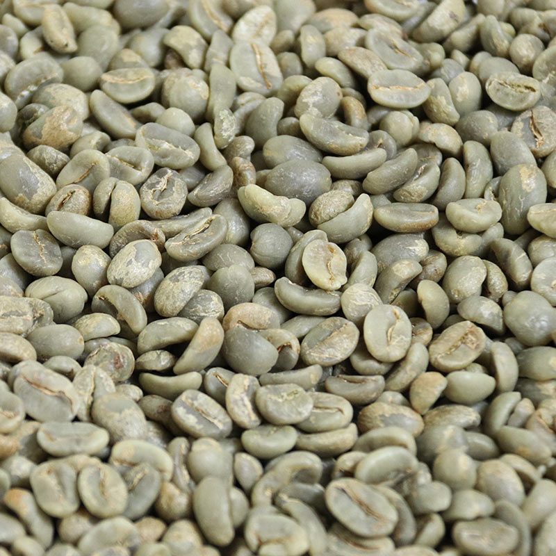 锦庆精选精品水洗/日晒云南小粒咖啡生豆铁皮卡蓝山同级绿咖啡豆 - 图2