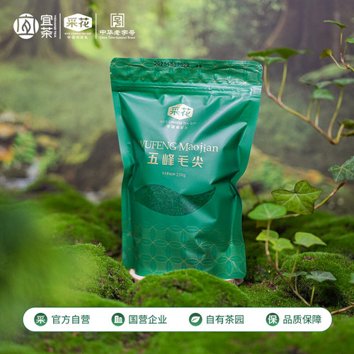 2026新茶上市采花毛尖五峰绿茶特级袋茶叶250g自饮茶叶栗香口粮茶 - 图0