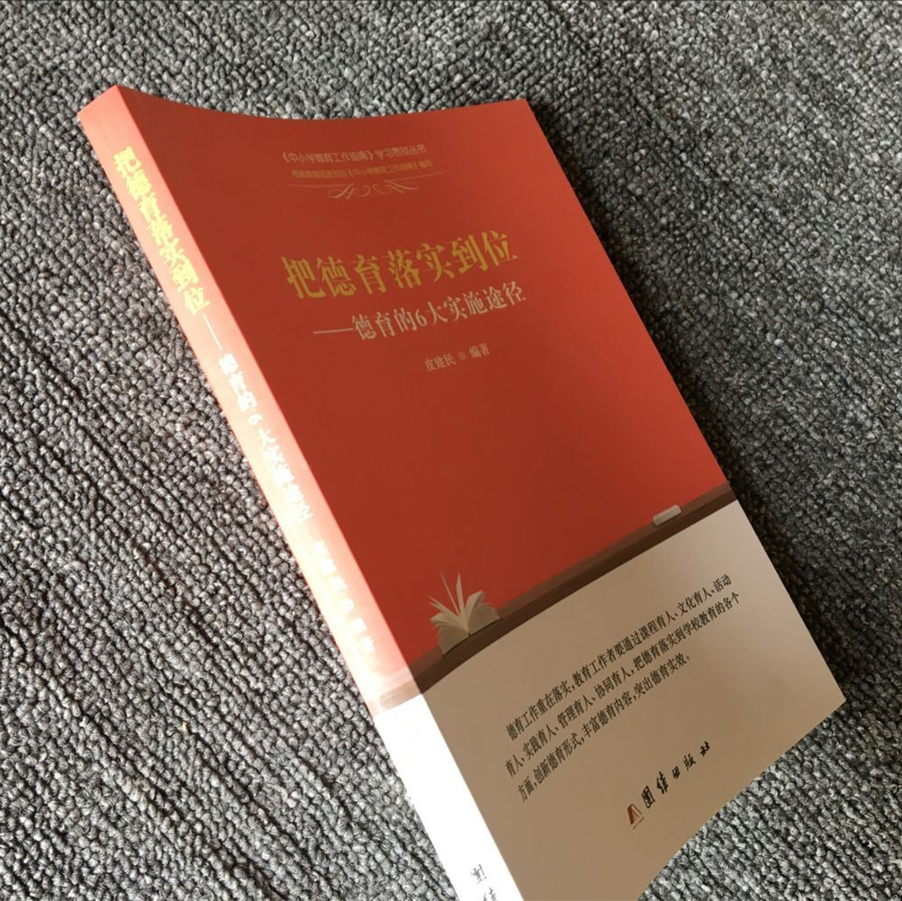 把德育落实到位 德育的6大实施途径 今天怎样做德育 教师德育用书 教师专业成长培训用书参考书