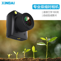 XINBAI New 100 time-lapse photo-camera for camera shooting short video camera Vlog plant tourism engineering video recorder