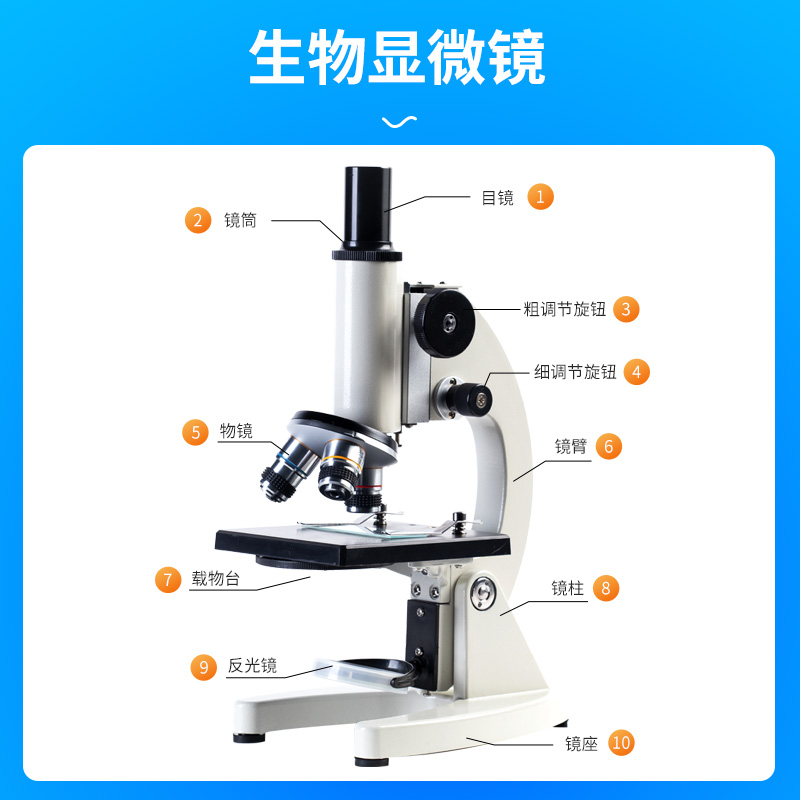 初中生物实验器材全套装显微镜高清倍镜200/1000/640/1600初高中学生科学实验观察微生物精子螨虫便携式教学-图1