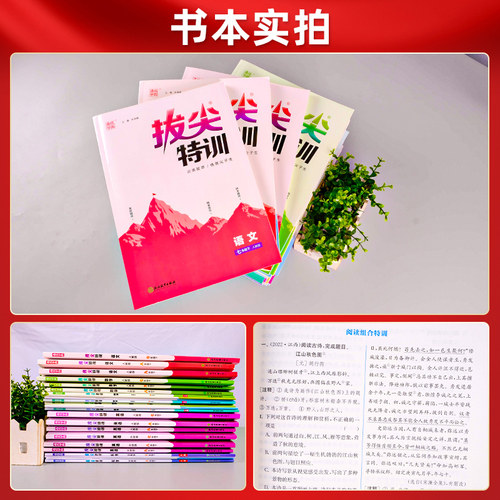 2026新拔尖特训初中七八九年级上下册数学科学语文英语浙教人教版各地初中789年级教材同步课时作业本培优尖子生高分题库 通成学典 - 图2