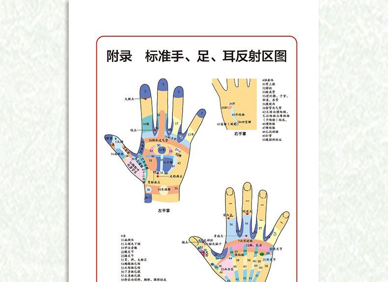 抖音爆款手足耳对症按摩10分钟手足耳对症按摩图文详解经络穴位按摩推拿家用养生常见病对症手足耳按摩疗法缓解病痛提高免疫力-图0