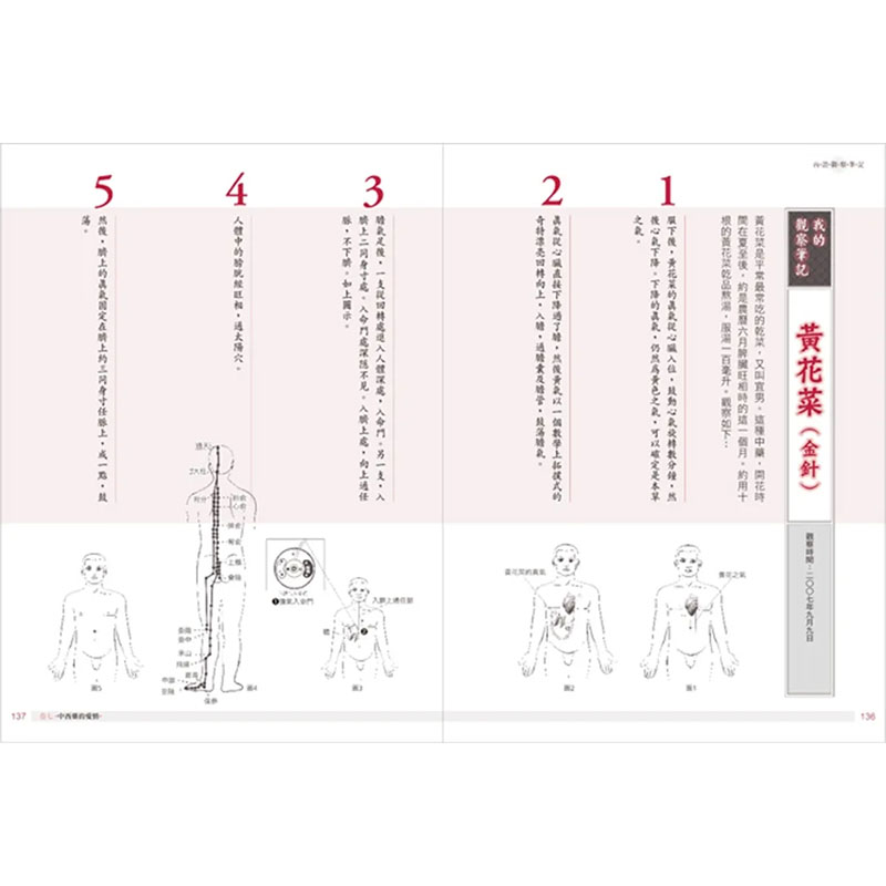 【现货】人体内证观察笔记(上册) (二版)：脏腑观察篇 港台原版图书籍台版正版繁体中文 长安无名氏 健康/运动 橡实文化 - 图3