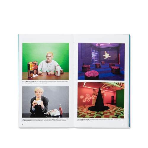 【现货】 Alex Da Corte As Long as the Sun Lasts，亚历克斯·达·科特：只要太阳还在 英文原版图书进口正版 Sheena Wagstaff - 图3