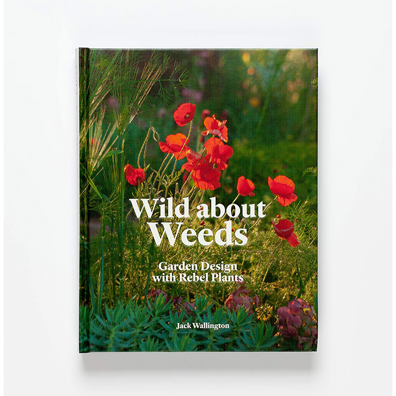 【现货】 杂草花园设计 Wild about Weeds:Garden Design with Rebel Plants 英文原版图书籍进口正版  Jack Wallington - 图2