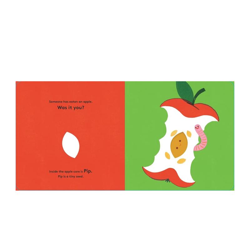 【现货】【小小生命周期】种子 Little Life Cycles: Pip 英文原版儿童绘本 - 图0