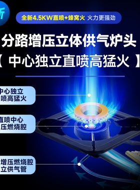 志高煲仔炉煤气灶带熄火保护