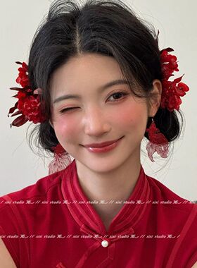 【好运锦鲤】中国风红色耳饰新中式耳环2026新年款耳钉小众高级感