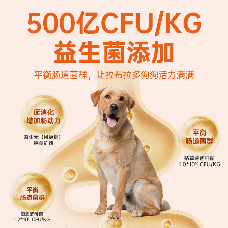 拉布拉多狗粮40斤装大型犬专用粮金毛狗粮成犬幼通用型鸡肉味20kg - 图2