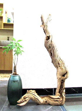 千年胡杨风化老木原木随形根艺摆件自然禅意艺术创意家居收藏饰品