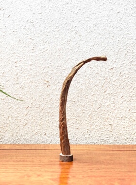 千年大漠胡杨风化原木随形根艺摆件自然禅意艺术创意家居收藏饰品