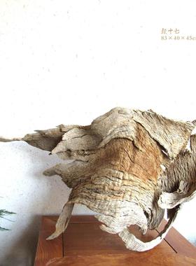 千年胡杨风化枯木根雕整体随形