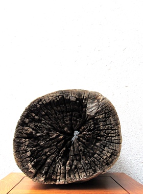 千年胡杨风化老木原木随形根艺摆件自然禅意艺术创意家居收藏饰品