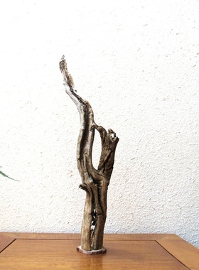 千年大漠胡杨风化原木随形根艺摆件自然禅意艺术创意家居收藏饰品